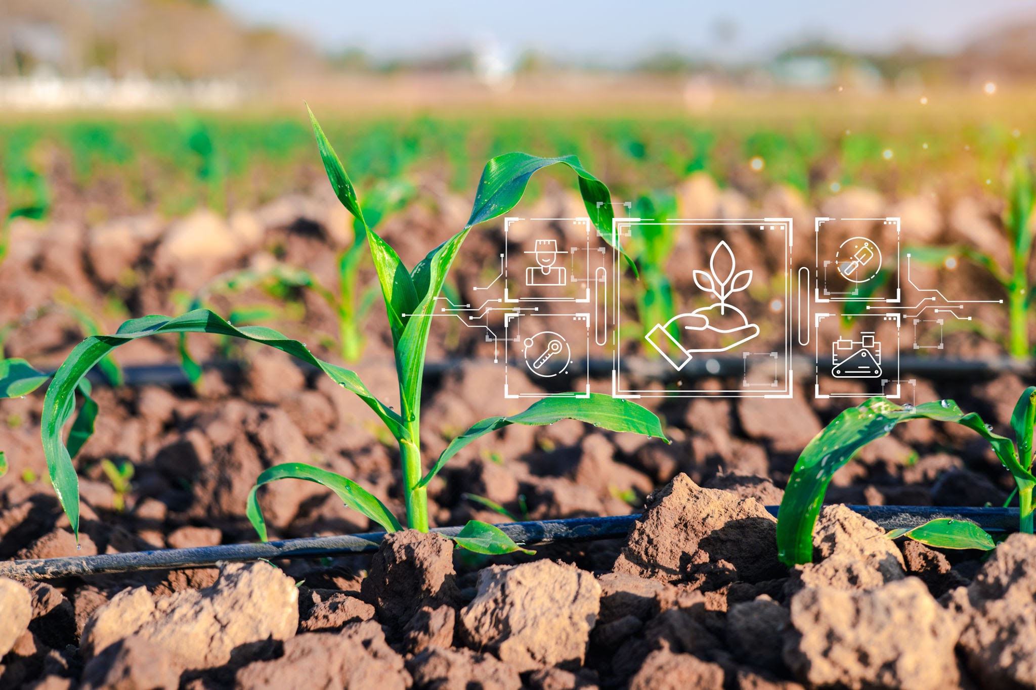 Nutrient Management - Sustainable Agriculture Solutions by Jay Agritech